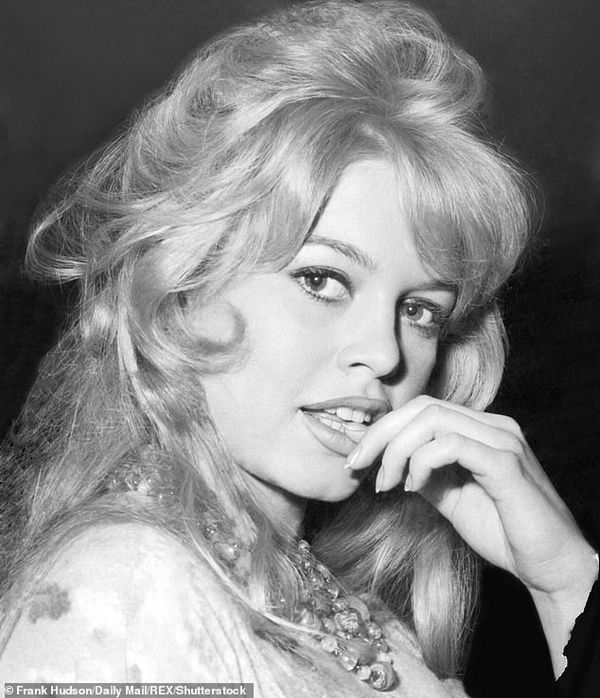 Brigitte Bardot: A Remarkable Journey of Stardom, Love, and Animal Advocacy