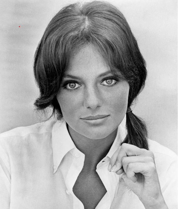 The Timeless Beauty of Jacqueline Bisset: A Hollywood Legend