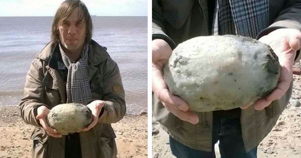 A Surprising Discovery on the Beach