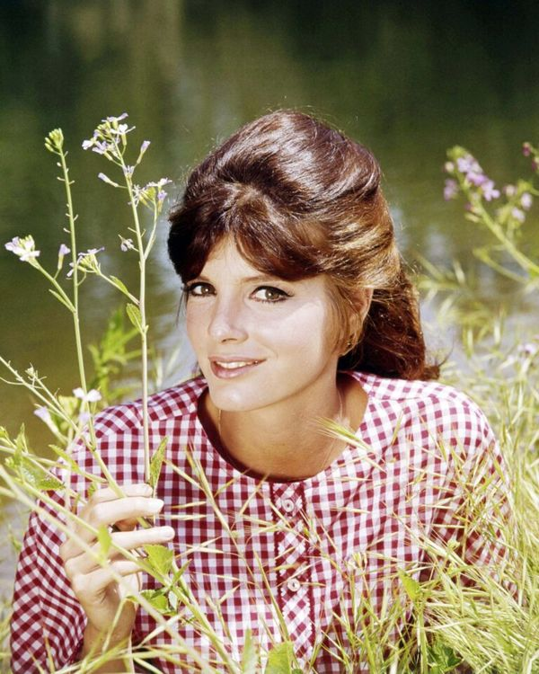 A Timeless Beauty: The Captivating Life of Katharine Ross