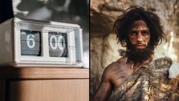 Are You a Morning Person? Your Neanderthal Ancestors Might Be the Reason Why