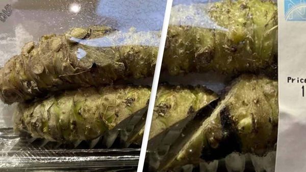 The True Price and Taste of Real Wasabi Revealed