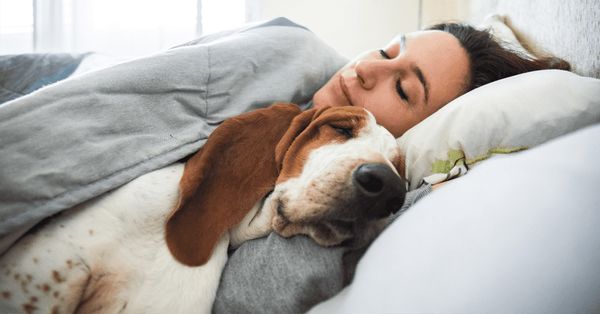 Science Shows That Women Sleep Better Next To Dogs Than Men