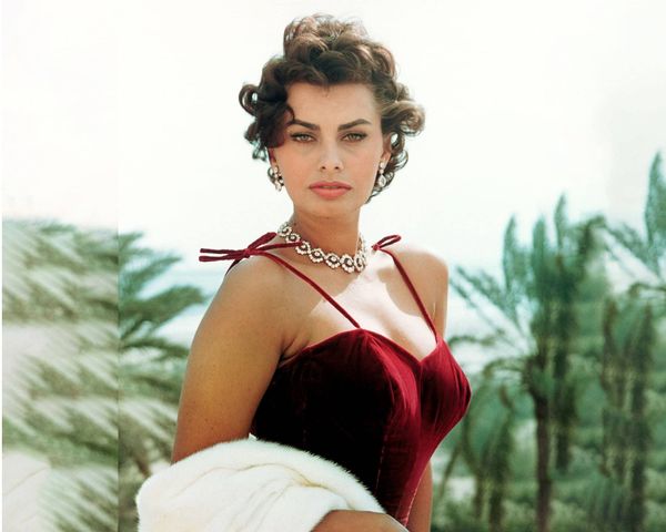 The Incredible Journey of Sophia Loren: From Poverty to Hollywood Stardom