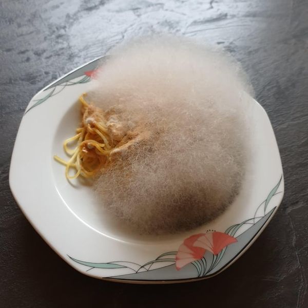 Moldy Spaghetti