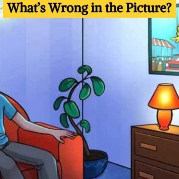 Picture Puzzle IQ Test: Find the Mistake in the Picture in 5 Seconds