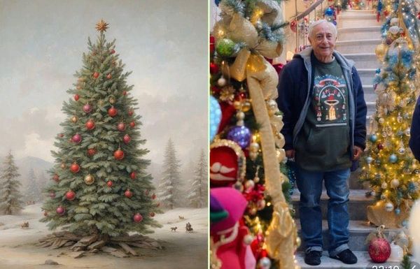 An Enchanting Christmas Wonderland: German Couple Sets World Record with 555 Decorated Trees