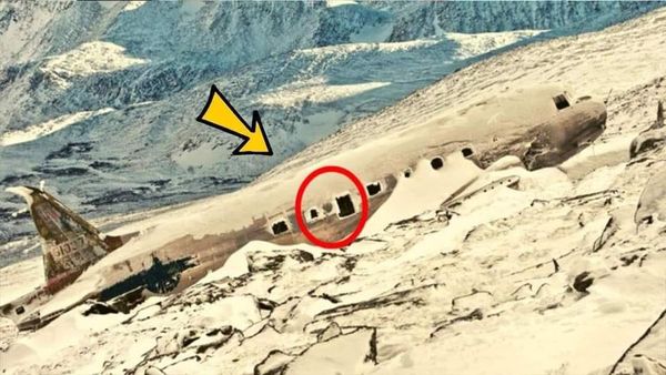 The Astonishing Discovery of a Lost Plane