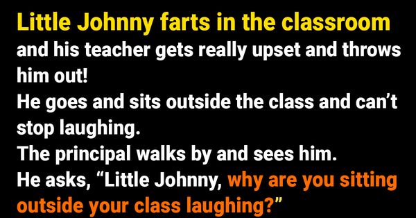 Hilarious Stories to Brighten Your Day!