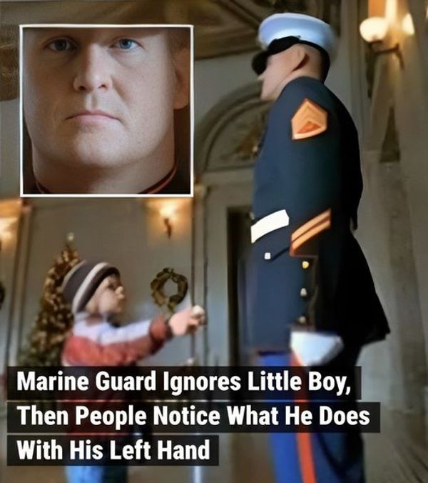 Marine Guard’s Heartwarming Gesture Goes Viral