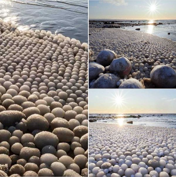 Breathtaking Ice Eggs Found on Beach in Finland