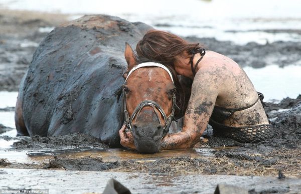 A Courageous Mother’s Battle to Save Her Beloved Horse