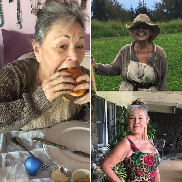 Roseanne Barr Embraces Tranquil Life on Her Hawaiian Farm