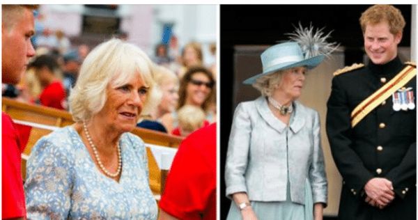 Queen Camilla ‘Outraged’ After Prince Harry’s Visit to See His Father for “Loving Son PR Stunt”, Claims Source