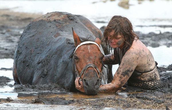 Veterinarian Stacey Sullivan prepares to help Astro