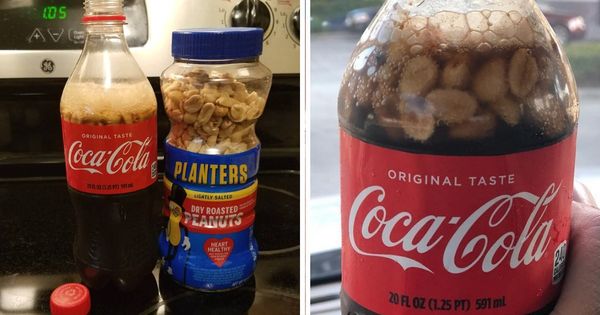 Adding peanuts to Coca-Cola: The Southern Food Trend That’s Sweeping the Nation!