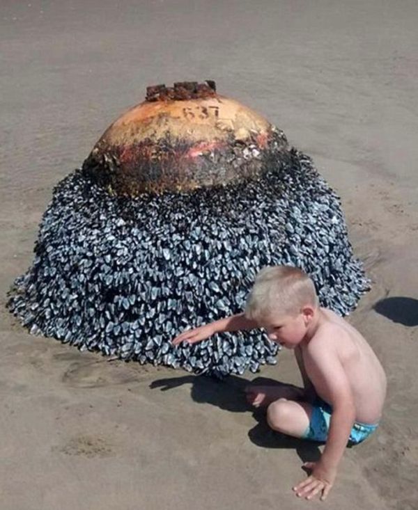 Dad’s Innocent Beach Photo Turns into a Startling Discovery