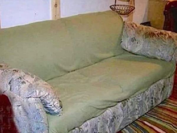 A Surprise Discovery: Students Stumble Upon $41,000 in an Old Couch