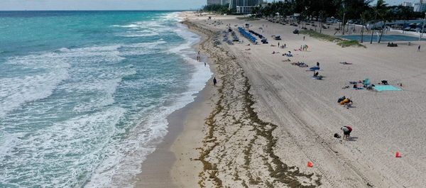 Tragedy Strikes on Florida Beach