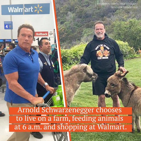 Arnold Schwarzenegger: Living a Low-Key Life on His Farm