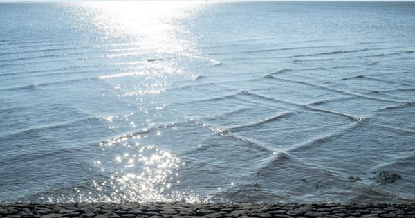 If You See Square Waves Forming In The Ocean, Get Out Of The Water Immediately