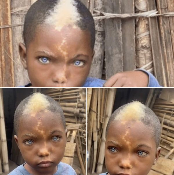 Little Boy with Striking Features Captivates the Internet