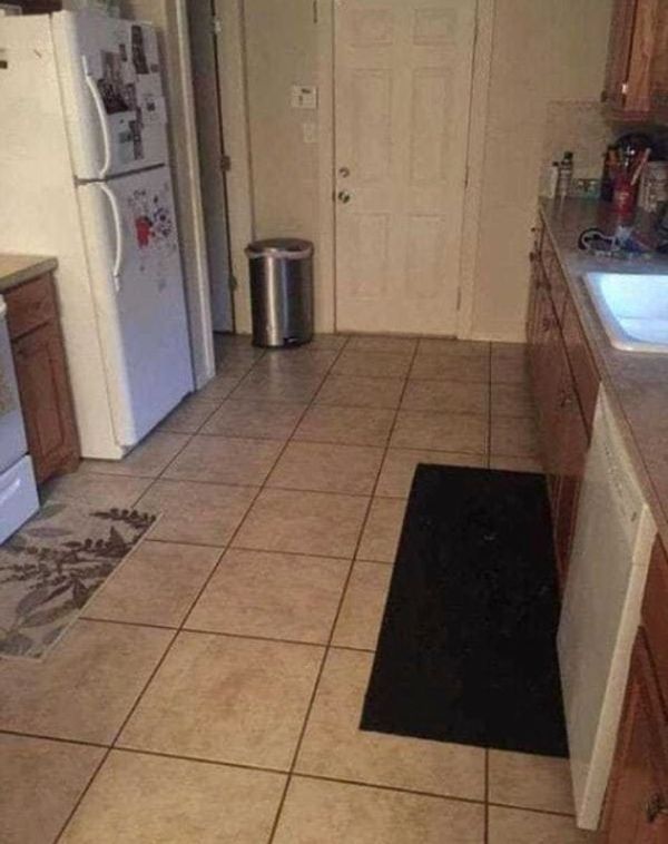 Can You Find the Hidden Dog in This Kitchen?