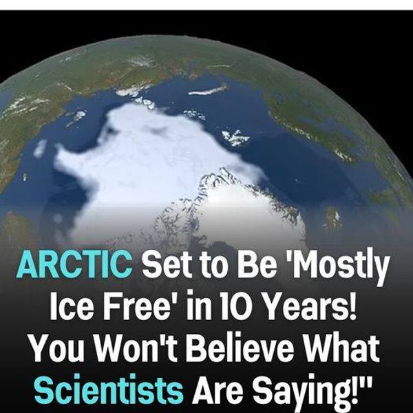 Scientists Warn: Arctic Ice in Danger of Significant Decline Within a Decade!