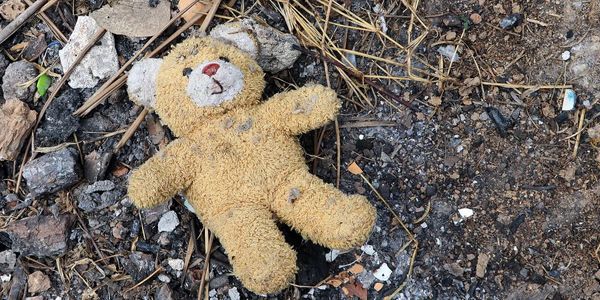 The Price of Revenge: How an Old Teddy Bear Unraveled a Dark Family Secret