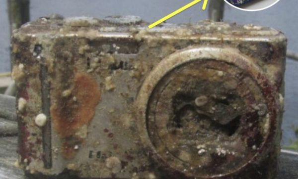 Rediscovering Lost Memories: Diver Develops Film From Camera Found At Bottom Of Sea