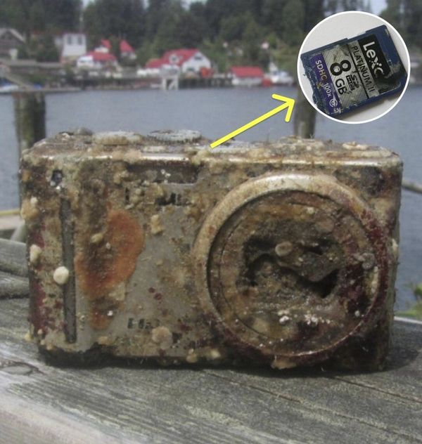 Camera Lost in Shipwreck Reunites Artist with Cherished Memories