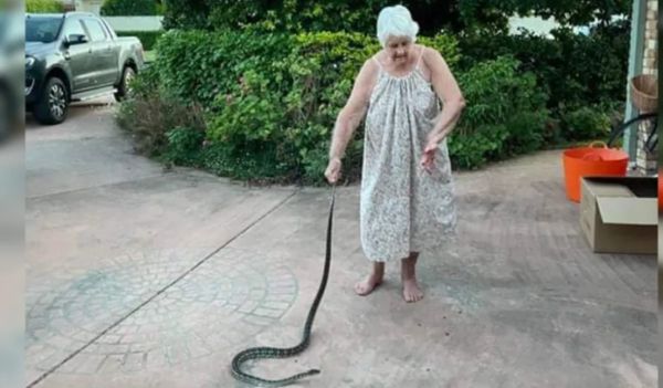 Aussie Woman, 80, Rescues Puppy from Python