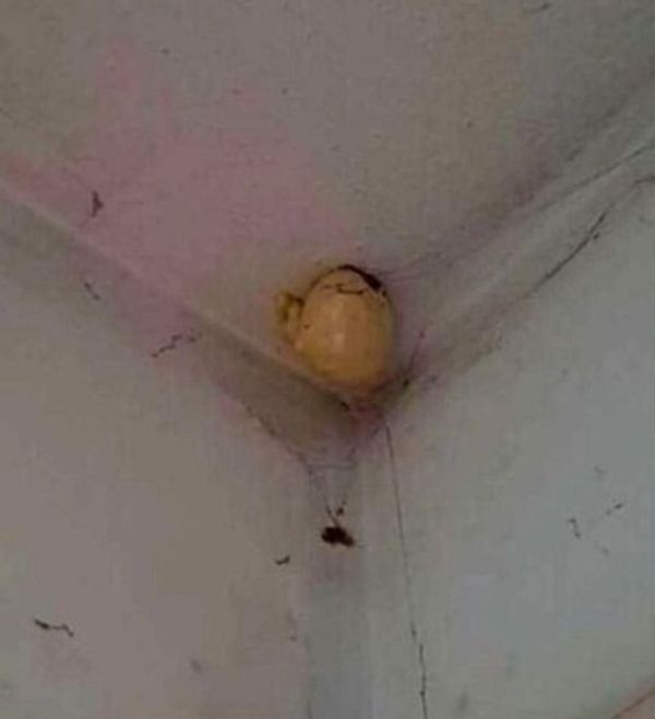 The Mysterious “Egg” on the Ceiling