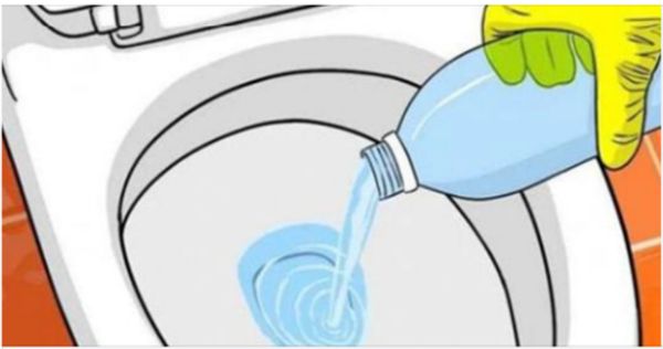 Homemade Toilet Bowl Cleaner