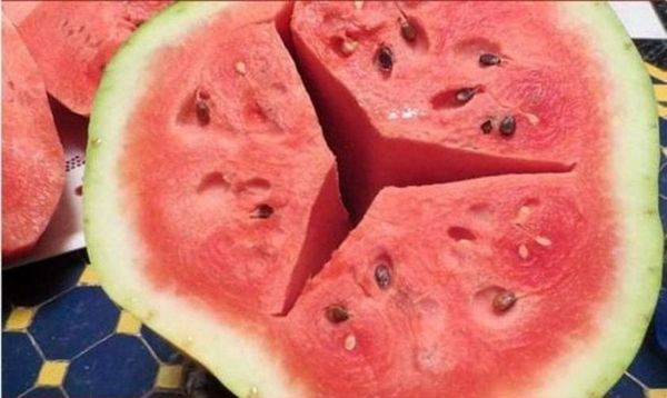 How to Choose the Perfect Watermelon