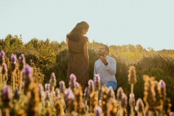 17 Years After Fiancee Left Him at the Altar, Hank Finds True Love