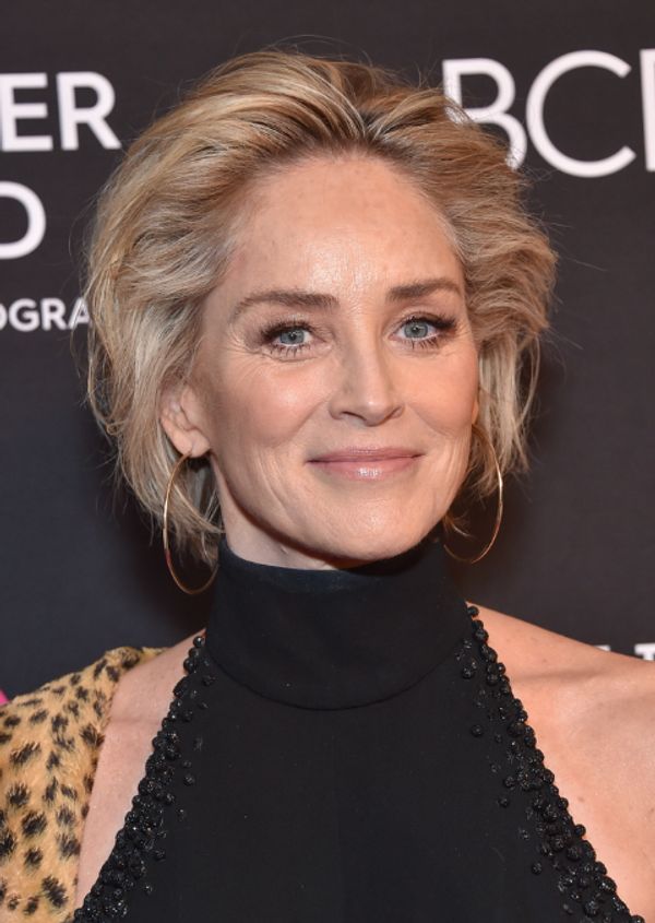 Sharon Stone's daring Instagram photo