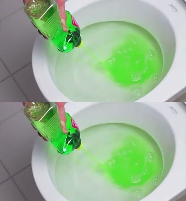 An Ingenious Hack: Clearing Toilet Clogs with Dish Soap