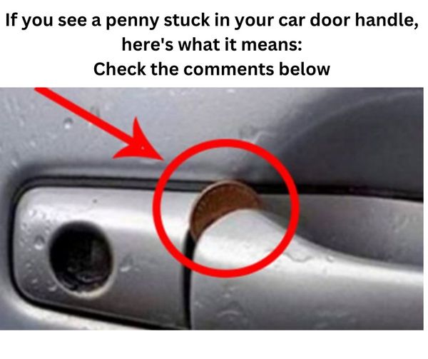 Beware of Sneaky Car Thieves!