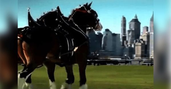 Tribute to 9/11: The Unforgettable Commercial