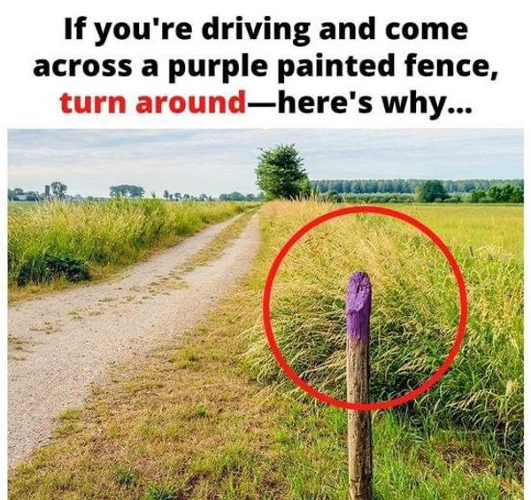 How Purple Fence Posts Can Save Your Life