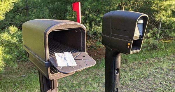 Keeping Mail Carriers Safe from Wasp Nests