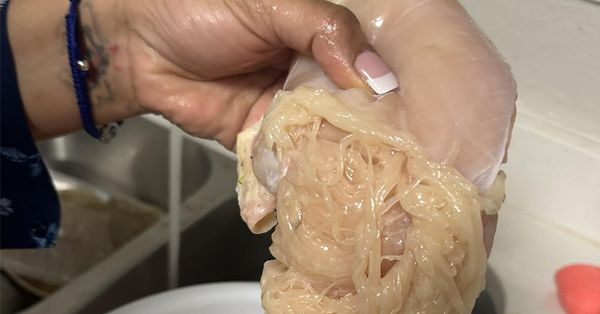 “Stringy Chicken: A Shocking Incident That May Make You Reconsider Eating Meat”